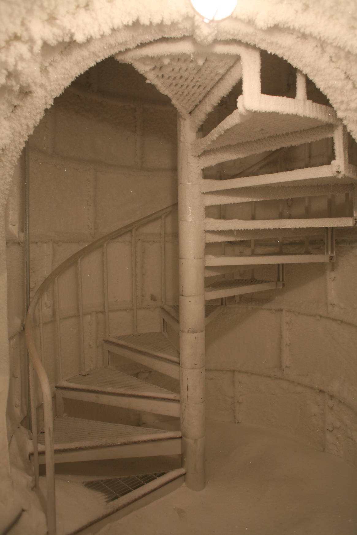 A true winter wonderland.