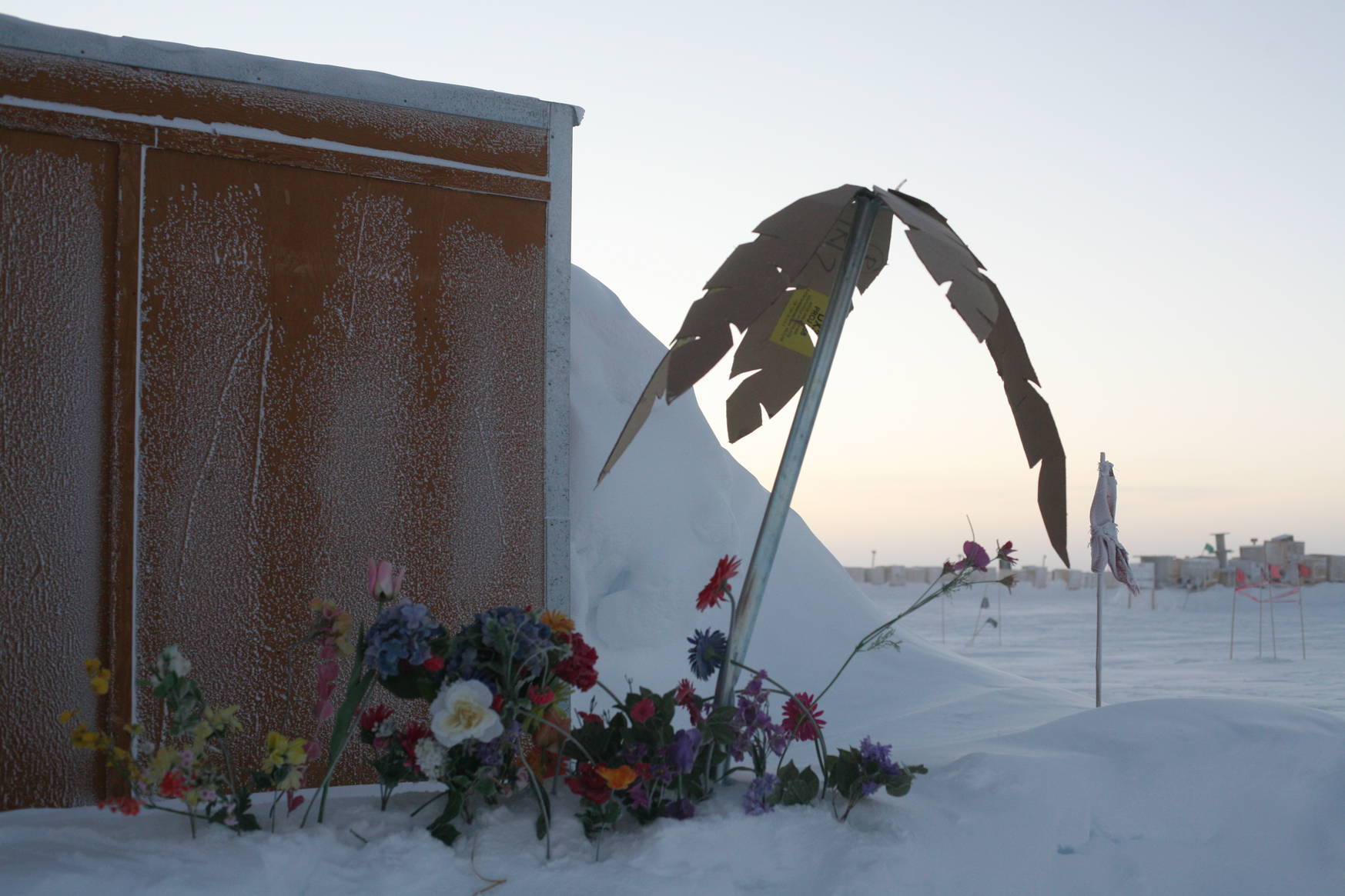 Don't know where Peter's café is? Go find the palm tree.